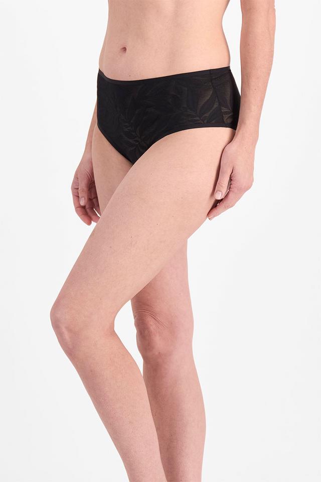 Because Full Brief