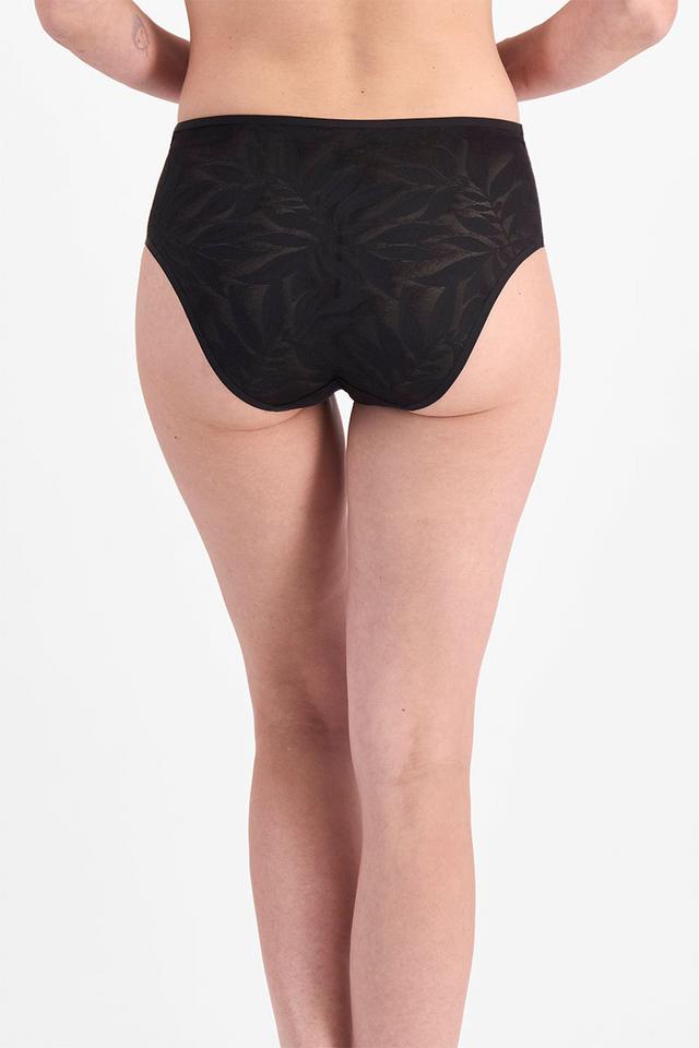 Because Full Brief