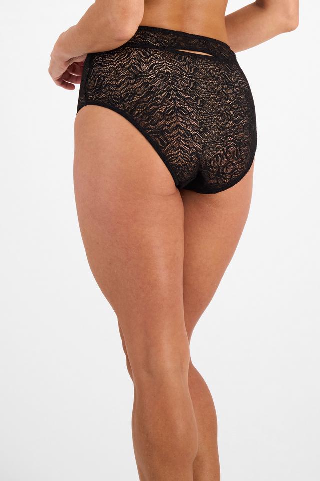 Because Full Brief